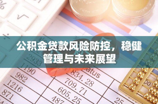 金川公积金贷款风险防控，稳健管理与未来展望