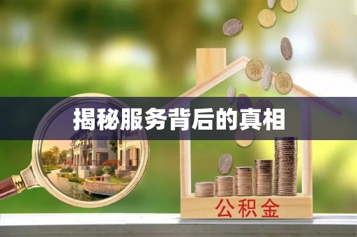 金川揭秘服务背后的真相