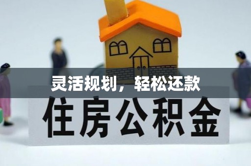 金川灵活规划，轻松还款