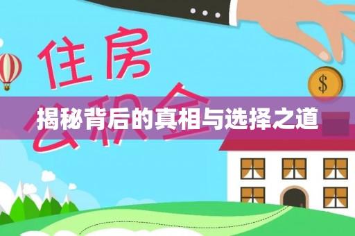金川揭秘背后的真相与选择之道