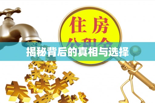 金川揭秘背后的真相与选择