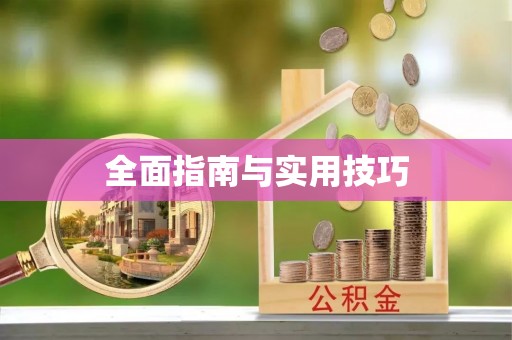 金川全面指南与实用技巧