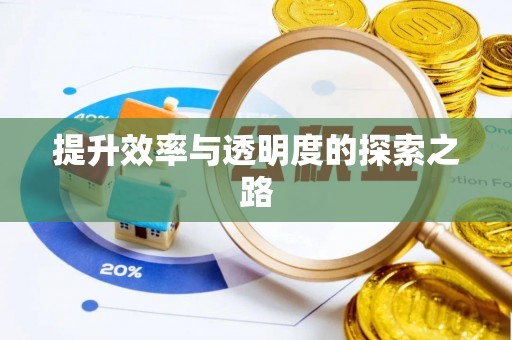 金川提升效率与透明度的探索之路