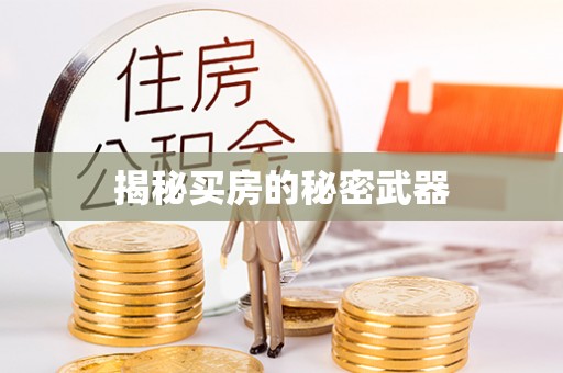 金川揭秘买房的秘密武器