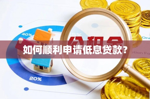 金川如何顺利申请低息贷款？