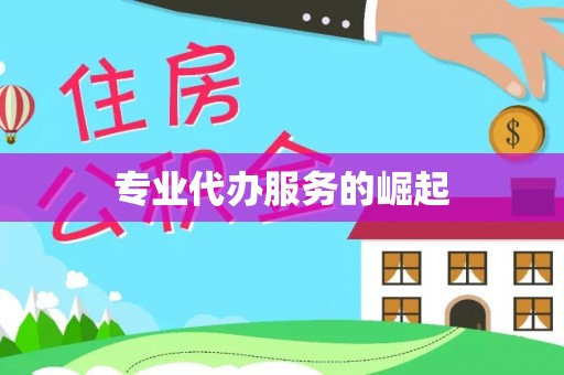金川专业代办服务的崛起