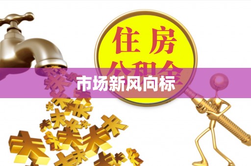 金川市场新风向标