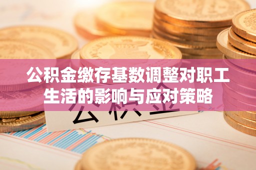 金川公积金缴存基数调整对职工生活的影响与应对策略