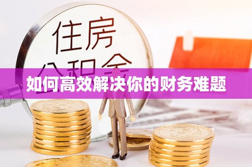 金川如何高效解决你的财务难题