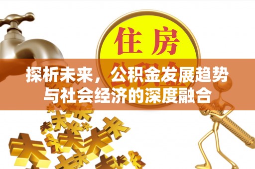 金川探析未来，公积金发展趋势与社会经济的深度融合