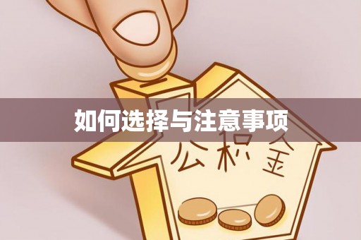 金川如何选择与注意事项