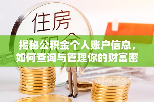 金川揭秘公积金个人账户信息，如何查询与管理你的财富密码