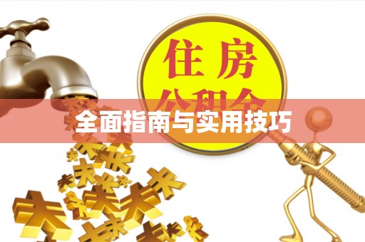 金川全面指南与实用技巧
