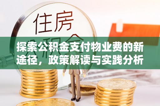 金川探索公积金支付物业费的新途径，政策解读与实践分析