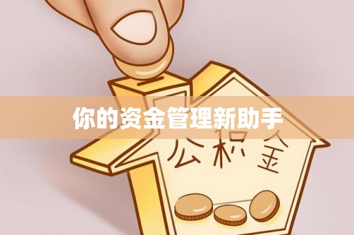 金川你的资金管理新助手