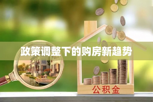 金川政策调整下的购房新趋势