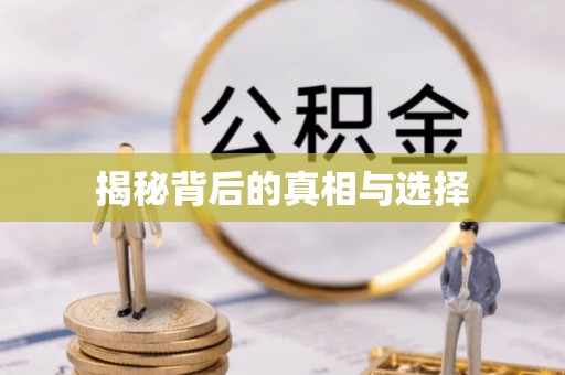 金川揭秘背后的真相与选择