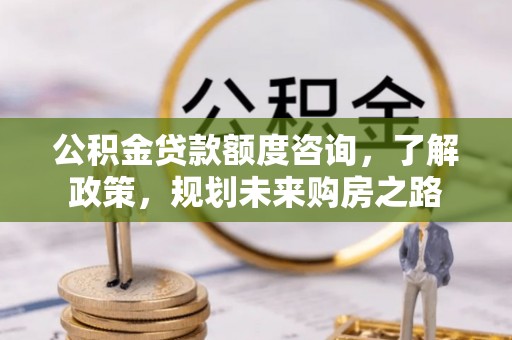 金川公积金贷款额度咨询，了解政策，规划未来购房之路
