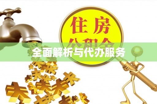 金川全面解析与代办服务