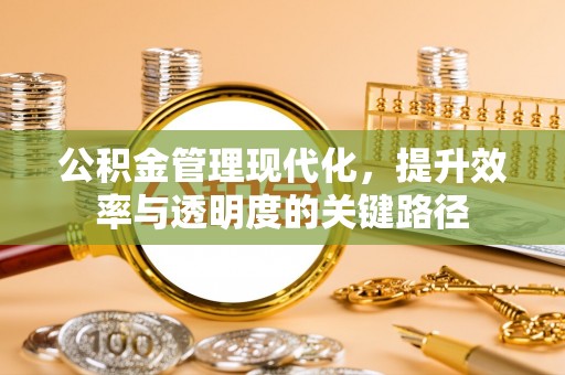 金川公积金管理现代化，提升效率与透明度的关键路径
