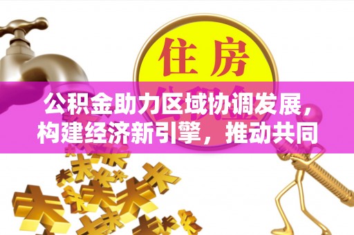 金川公积金助力区域协调发展，构建经济新引擎，推动共同富裕