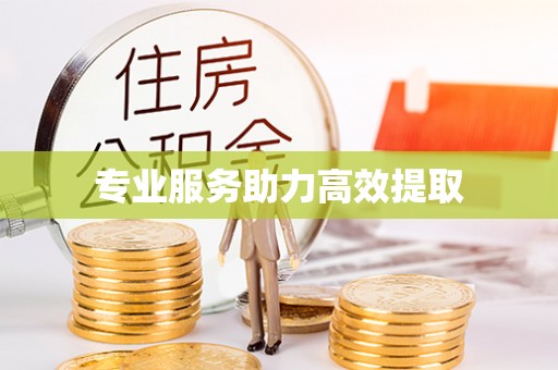 金川专业服务助力高效提取