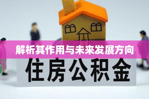 金川解析其作用与未来发展方向