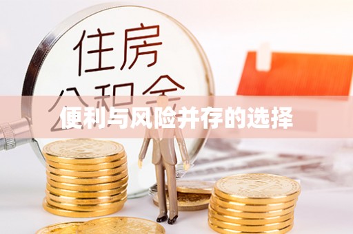 金川便利与风险并存的选择