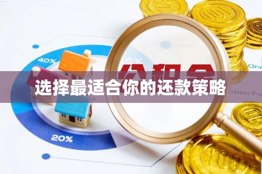 金川选择最适合你的还款策略