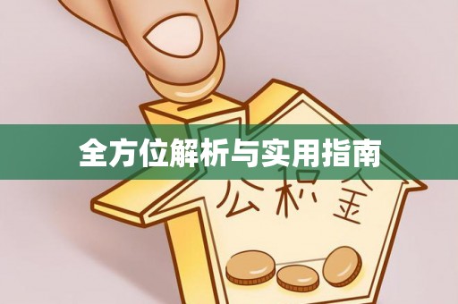 金川全方位解析与实用指南