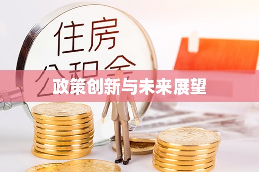 金川政策创新与未来展望