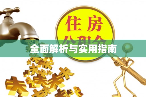 金川全面解析与实用指南