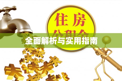 金川全面解析与实用指南
